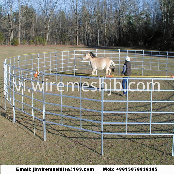 Hot Dipped Galvanized Metal Horse Fence Panel